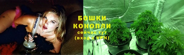 стафф Нефтекумск