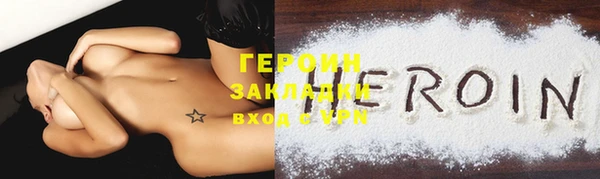 индика Надым