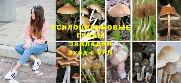 MESCALINE Абаза