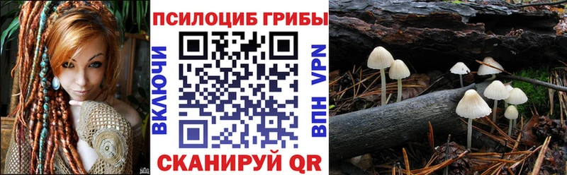 Псилоцибиновые грибы MAGIC MUSHROOMS  Алейск 